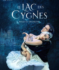 Ballet Le lac des Cygnes Cours Online 60´ par Valeria Bula spécialiste en ballet Paris